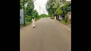 Mini Road VLOG - Gowalkot Road |  Bridge to Kamani Bypass | Chiplun Dist-Ratnagiri MH | 27-08-2022