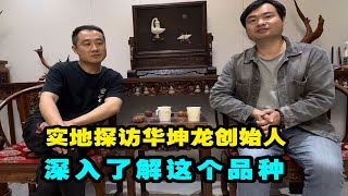 实地探访华坤龙文玩核桃创始人，求证它的来历，分析值不值得玩