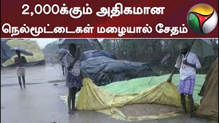 2,000க்கும் அதிகமான நெல்மூட்டைகள் மழையால் சேதம்