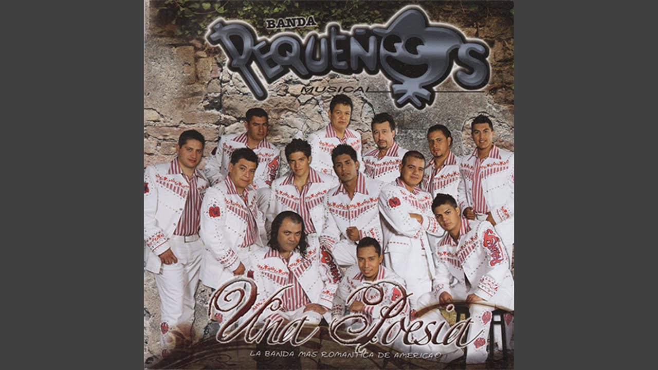 Por Mis Defectos Youtube Music