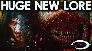 The Didact HAS RETURNED + A TON MORE (HUGE NEW HALO LORE)