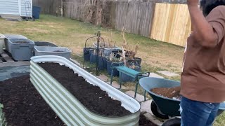 There’s not enough gardening hours in a day. Quick update on the new garden bed.