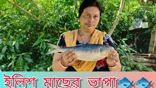 বর্ষার মরশুমে ইলিশ মাছের ভাপা🐠// ranny season hilsa fish vapa recipe bengali stayle😋 #vlog #hilsa