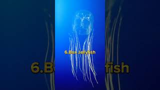 Top 10 Most Dangerous Sea Creatures in the world 🌎🌍 #shorts #viral