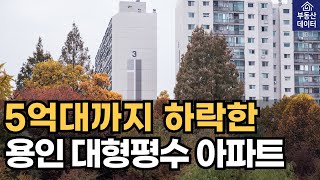 5억대로 하락한 용인 대평형수 아파트 TOP7[아파트 하락 폭락 매매  매물 부동산 전망 투자 서울집값 경매 공매 급매 2차하락 마피 부동산 경기도용인플랫폼시티]