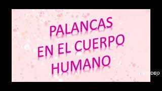 palancas en el cuerpo humano