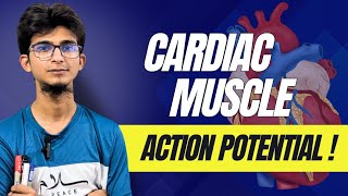 Cardiac muscle action potential in bangla