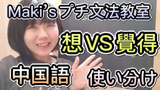 台湾華語・中国語プチ文法教室！想 VS 覺得 の使い分け/違い　~　初心者向けのわかりやすい文型説明講座