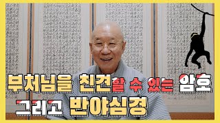 아제아제 바라아제 바라승아제 모지사바하