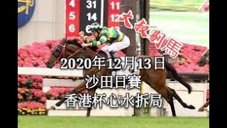 『大叔剔馬』香港賽馬 星期日沙田日賽 2020年12月13日 國際賽 - 香港杯心水分析