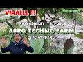 Perkebunan Terpadu Agro Techno Farm di Kota Pekanbaru Riau