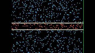 Anisotropic Diffusion - William Edward Hahn