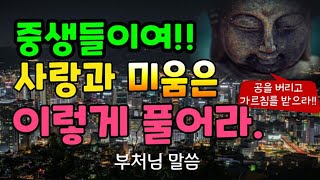 중생들이여! 사랑과 미움은 이렇게 풀어라/부처님 말씀/부처님께 묻습니다/부처님 명언/석가모니 말씀/석가모니 일생/석가모니 명언/석가모니 깨달음/명언 모음/명언 삼매경/