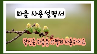 마음 사용설명서♤ 당신은 마음을 어떻게 사용하세요?