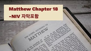 Matthew 18 NIV AUDIO BIBLE (with text)