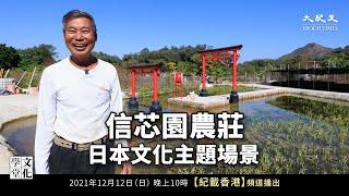 【文化學堂】信芯園農莊日本文化主題場景 鳥居、櫻花園、油紙傘、紫滕和玫瑰隧道