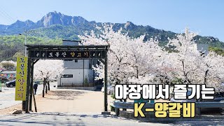 도봉산 등산 후 숯불에 구워먹는 양고기 🐑ㅣ야외에서 즐기는 한국식 양갈비 맛집