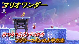 マリオワンダー　氷つるつるズンドコの谷　フラワーコインの入手方法　＃３０　【スーパーマリオブラザーズ ワンダー】