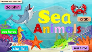 Sea Animals | Learn the different sea animals | Video of sea animals