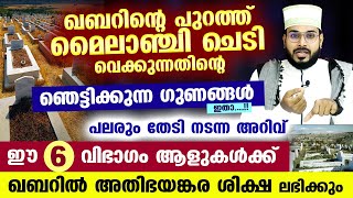 മൈലാഞ്ചി ചെടി ഖബറിന്റെ പുറത്ത് വെക്കുന്നതിന്റെ ഞെട്ടിക്കുന്ന ഗുണങ്ങൾ ഇതാ... Arshad Badri Vaduthala