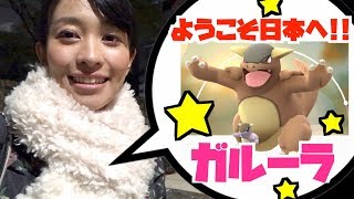 【ポケモンGO】ようこそ日本へ！ガルーラをお出迎えしたいんやぁぁぁ！！【グローバルチャレンジ】