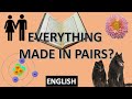 Quran: Everything Is Made In Pairs. DEBUNKED! [ENGLISH]