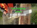 Tree Surgeon Crewe Local Tree Services & Tree Surgery Company - Tree Surgeons Near Me