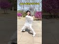 The Rigidity and Flexibility of Taijiquan.#taichi #taijiquan #kungfu #shorts