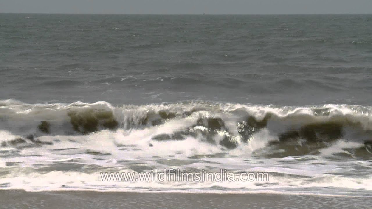 Arabian Sea Waves Meet The Shore In Cochin - YouTube