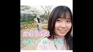 【武漢Vlog】誰說櫻花只能去日本看！武漢大學賞櫻季一樣好看