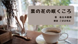 【一度は読みたい名作】栗の花の咲くころ 佐左木俊郎著【朗読】今は落ちぶれているが、代々庄屋の家という家柄にプライドを持つ嘉三郎　ある日届いた行方不明であった娘からの手紙　親の心、家族の愛を感じる作品