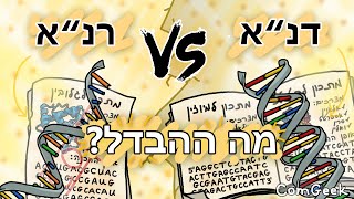 מה ההבדל בין הדנ\