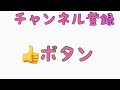 【セントバーナード】朝からトイレの前で寝そべるとと君。そんなセントバーナードの1日は果たして？