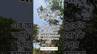 জি আলহামদুলিল্লাহ #official #ইসলামিক_ভিডিও #islam #onthisday #foryou #youtubeshorts #youtube #shorts