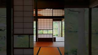 新潟秘境 清水園 新発田市的庭园之美 嘿 日本风景 风景 风景如画的地方 治愈系风景 #日本旅游 #Kyoto #日本接送机 #日本地接 #包车服务