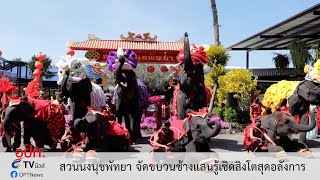 สวนนงนุชพัทยา จัดขบวนช้างแสนรู้เชิดสิงโตสุดอลังการ