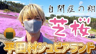 【自閉症翔くん】平田村ジュピアランド芝桜を見に行く🌸\u0026煎餅パパ語り🍘#自閉症#平田村#芝桜