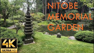 Nitobe Memorial Garden | University of British Columbia 🇨🇦 | 4K Walking Tour