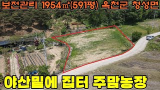 40210번 옥천군 청성면 전원주택지 정남향 집터 농막용 강추 7000만원 보전관리지역 1954㎡(591평) 보은ic 30분 #보은토지매매 #충북부동산 #옥천부동산