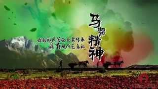 云南商会宣传片 Yuannan Chamber of Commerce Promotion Video