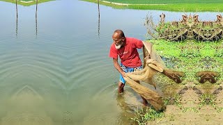 Unbelievable Net Fishing Video - Village Cast Net Fishing Video - Best Fishing With Old Grandpa