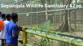 Sepahijala wildlife Sanctuary \u0026 Zoo