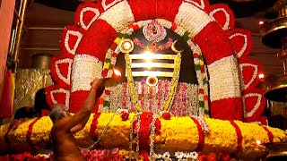 Thanjavur Temple Sivan Aarthi | தஞ்சை பெரிய கோவில் சிவன் தீபாராதனை  தரிசனம் பாருங்க ! #thanjavur