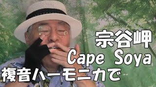 複音ハーモニカ「宗谷岬:Cape Soya」西川義夫 第839回