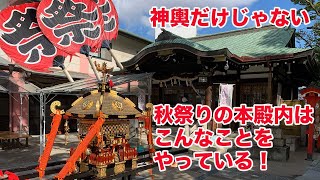 甲子園素盞嗚神社【秋季例祭】中身見せます