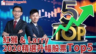 【升幅Top5】紅猴 \u0026 Larry2020精選升幅股票Top5