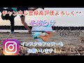 砂浜の穴から変なカニ出てきた【strange crab】