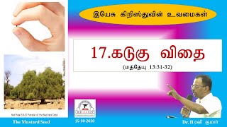 17.கடுகு விதை - The Mustard Seed - Dr. H Ravikumar