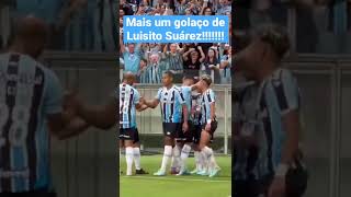 Mais um golaço de Luisito Suárez! Grêmio 1x0 Brasil de Pelotas #arenadogremio #diadegremio #gremio