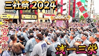 2024 三社祭 浅一三栄町 本社神輿 三之宮  渡御 激しい奪い合い ハチャメチャ狂 激闘の迫力満点